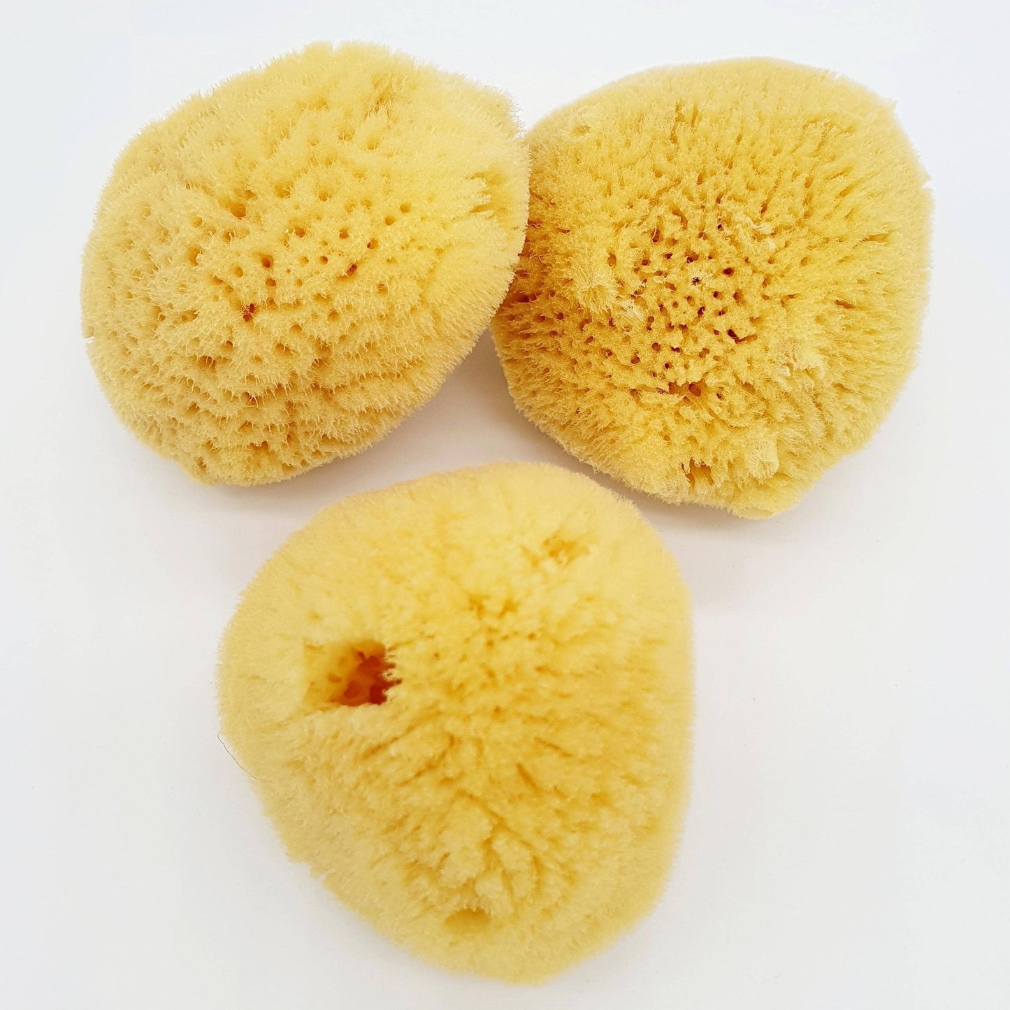 Gesichtsschwamm Natur – Sanfte Gesichtsreinigung & Spa Wellness